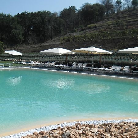 Agriturismo San Martino ปอซซุออลี ภายนอก รูปภาพ
