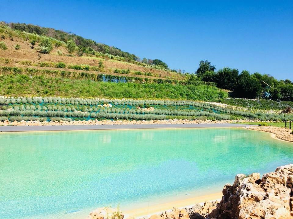 Agriturismo San Martino ปอซซุออลี ภายนอก รูปภาพ