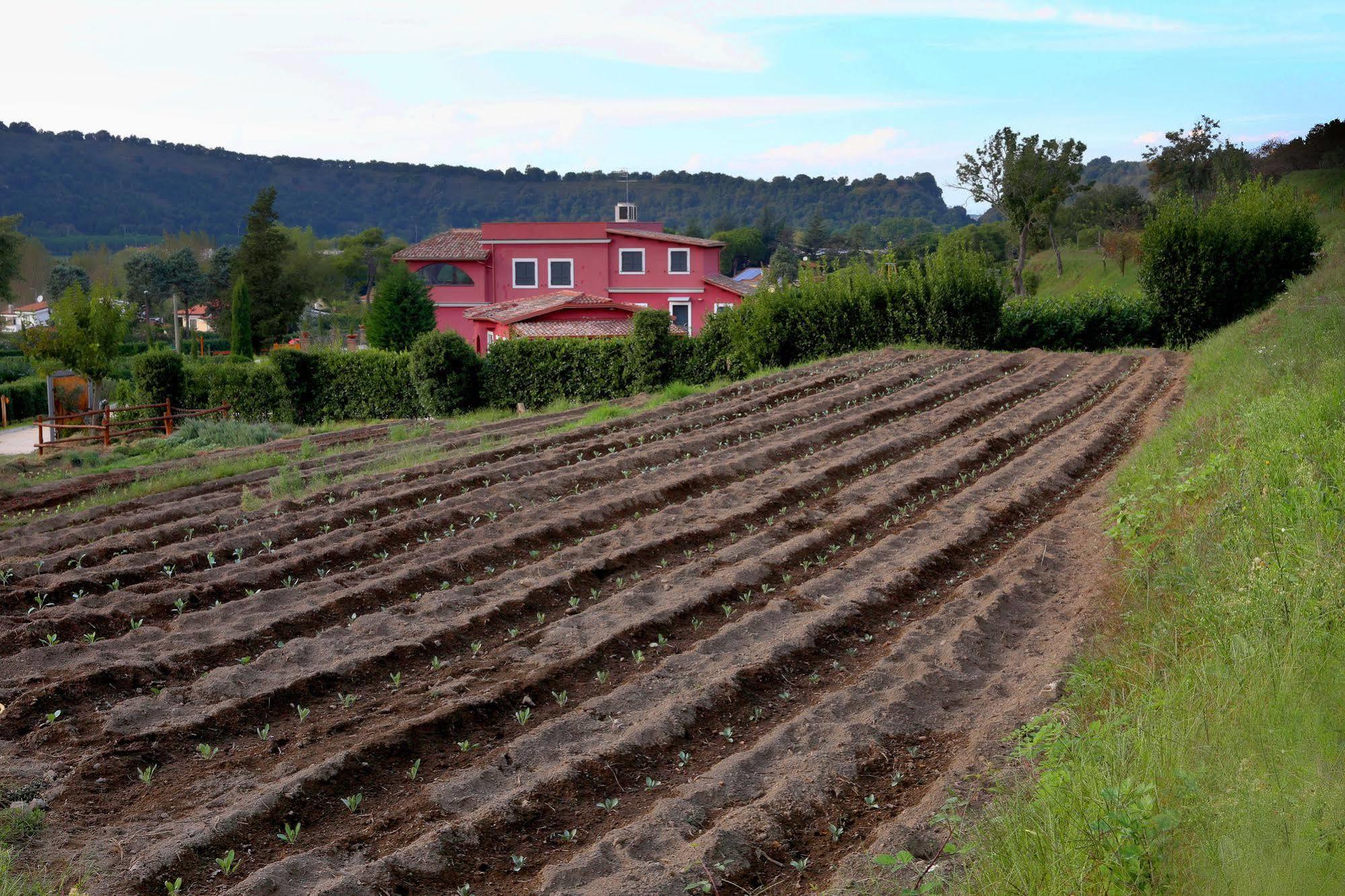 Agriturismo San Martino ปอซซุออลี ภายนอก รูปภาพ