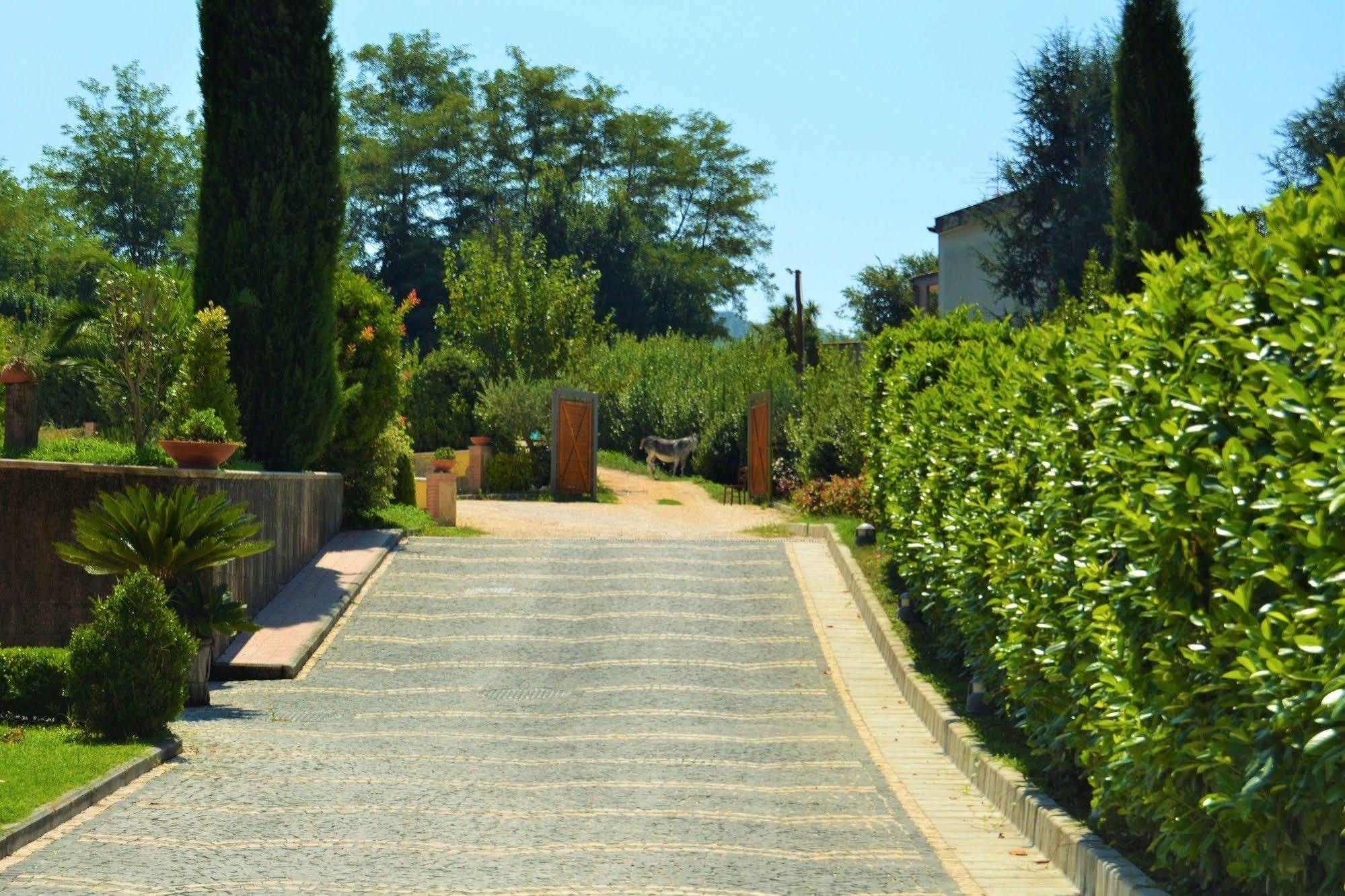 Agriturismo San Martino ปอซซุออลี ภายนอก รูปภาพ